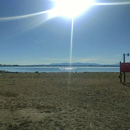 Résidence Palmyra - Climatisé - 2 Pièces Au Rez-de-chaussée à - Coudalere Mae-4083 Apartamento